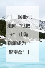 一颗枇杷走向“枇杷+” 山海资源成为“聚宝盆”