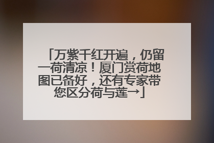 万紫千红开遍，仍留一荷清凉！厦门赏荷地图已备好，还有专家带您区分荷与莲→