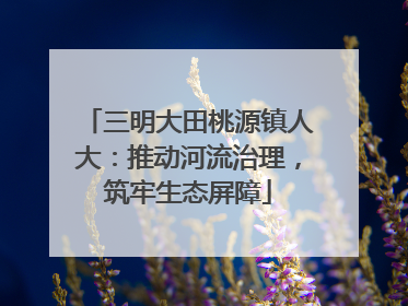 三明大田桃源镇人大：推动河流治理，筑牢生态屏障