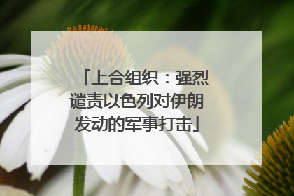 上合组织：强烈谴责以色列对伊朗发动的军事打击