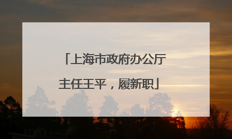 上海市政府办公厅主任王平，履新职