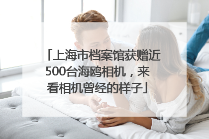 上海市档案馆获赠近500台海鸥相机，来看相机曾经的样子