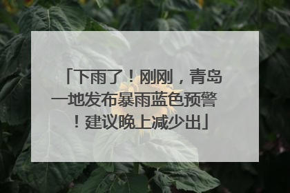 下雨了！刚刚，青岛一地发布暴雨蓝色预警！建议晚上减少出