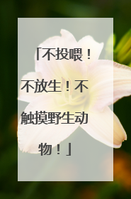 不投喂！不放生！不触摸野生动物！