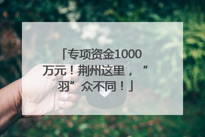 专项资金1000万元！荆州这里，“羽”众不同！