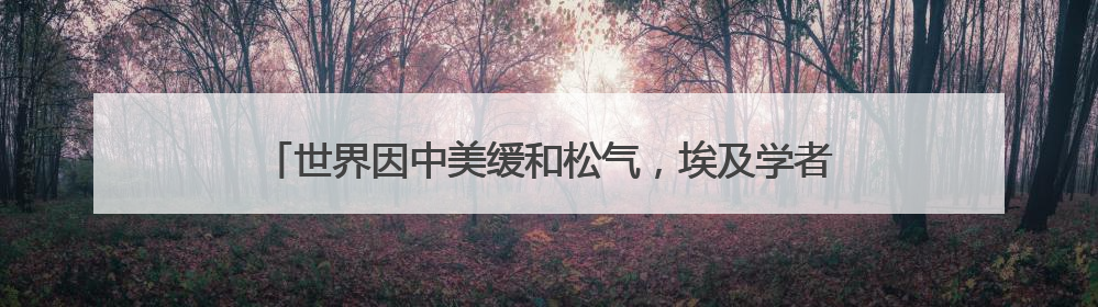 世界因中美缓和松气，埃及学者直言：美搞关税战损其领导力