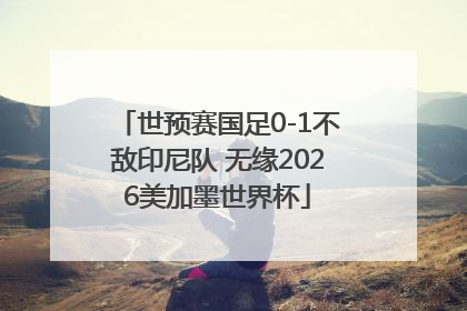 世预赛国足0-1不敌印尼队 无缘2026美加墨世界杯
