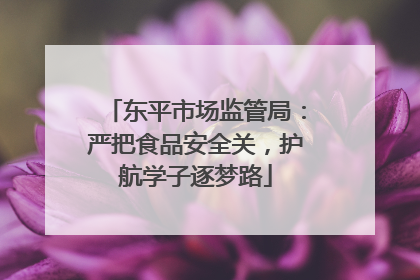 东平市场监管局：严把食品安全关，护航学子逐梦路