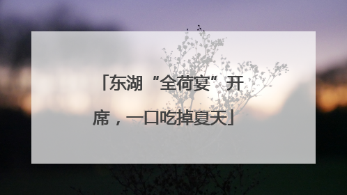 东湖“全荷宴”开席，一口吃掉夏天