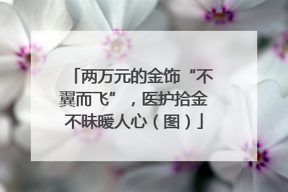 两万元的金饰“不翼而飞”，医护拾金不昧暖人心（图）