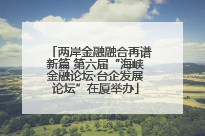 两岸金融融合再谱新篇 第六届“海峡金融论坛·台企发展论坛”在厦举办