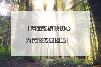 两面锦旗映初心 为民服务显担当