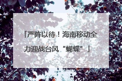 严阵以待！海南移动全力迎战台风“蝴蝶”