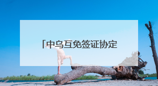 中乌互免签证协定今日生效 首架免签入境航班已抵达