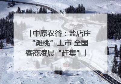 中原农谷：盐店庄“滩桃”上市 全国客商凌晨“赶集”