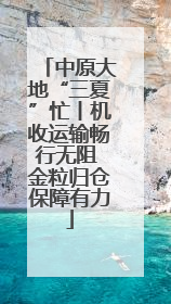中原大地“三夏”忙丨机收运输畅行无阻 金粒归仓保障有力
