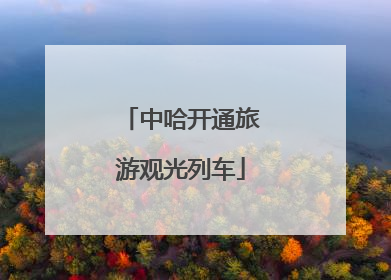 中哈开通旅游观光列车