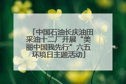 中国石油长庆油田采油十二厂开展“美丽中国我先行”六五环境日主题活动