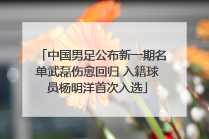 中国男足公布新一期名单武磊伤愈回归 入籍球员杨明洋首次入选