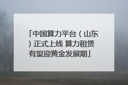中国算力平台（山东）正式上线 算力租赁有望迎黄金发展期