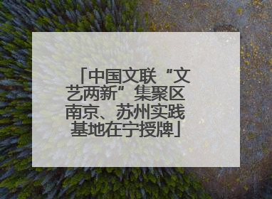 中国文联“文艺两新”集聚区南京、苏州实践基地在宁授牌
