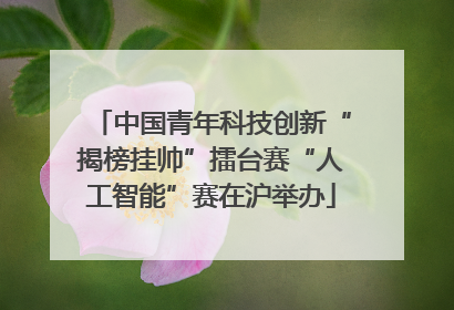 中国青年科技创新“揭榜挂帅”擂台赛“人工智能”赛在沪举办