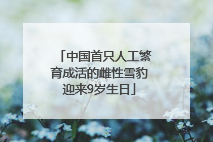 中国首只人工繁育成活的雌性雪豹迎来9岁生日