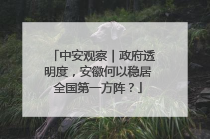 中安观察｜政府透明度，安徽何以稳居全国第一方阵？