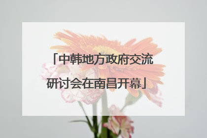 中韩地方政府交流研讨会在南昌开幕
