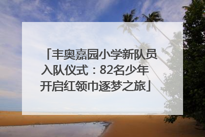 丰奥嘉园小学新队员入队仪式：82名少年开启红领巾逐梦之旅