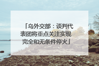 乌外交部：谈判代表团将重点关注实现完全和无条件停火