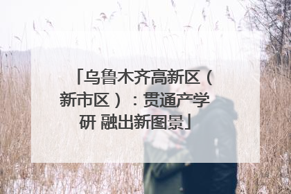 乌鲁木齐高新区（新市区）：贯通产学研 融出新图景