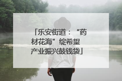 乐安街道：“药材花海”绽希望 产业振兴鼓钱袋