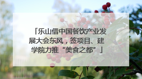 乐山借中国餐饮产业发展大会东风，签项目、建学院力推“美食之都”