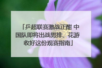 乒超联赛激战正酣 中国队即将出战男排、花游 收好这份观赛指南