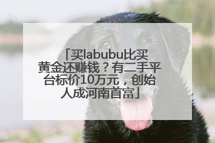 买labubu比买黄金还赚钱？有二手平台标价10万元，创始人成河南首富