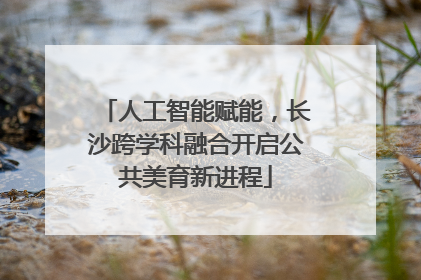 人工智能赋能，长沙跨学科融合开启公共美育新进程