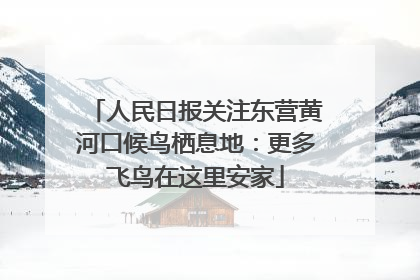 人民日报关注东营黄河口候鸟栖息地：更多飞鸟在这里安家