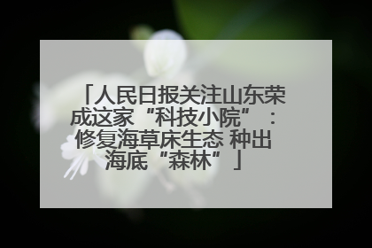 人民日报关注山东荣成这家“科技小院”：修复海草床生态 种出海底“森林”
