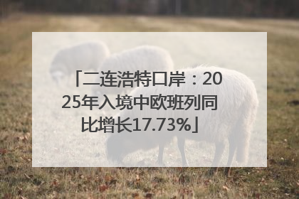 二连浩特口岸：2025年入境中欧班列同比增长17.73%