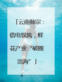 云南师宗：借电驭风，鲜花产业“破圈出海”