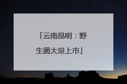 云南昆明：野生菌大量上市