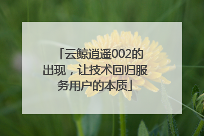 云鲸逍遥002的出现，让技术回归服务用户的本质