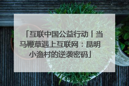 互联中国公益行动丨当马鞭草遇上互联网：昆明小渔村的逆袭密码