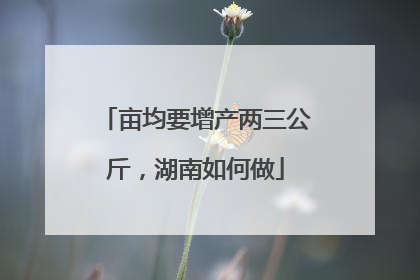亩均要增产两三公斤，湖南如何做
