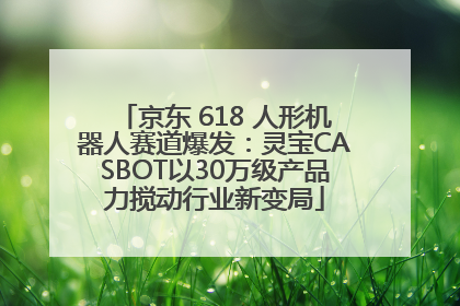 京东 618 人形机器人赛道爆发：灵宝CASBOT以30万级产品力搅动行业新变局
