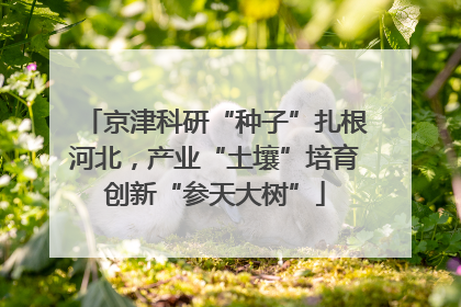 京津科研“种子”扎根河北，产业“土壤”培育创新“参天大树”