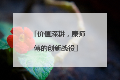 价值深耕，康师傅的创新战役
