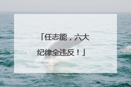 任志能，六大纪律全违反！