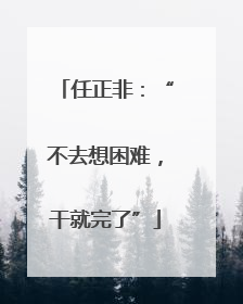 任正非：“不去想困难，干就完了”